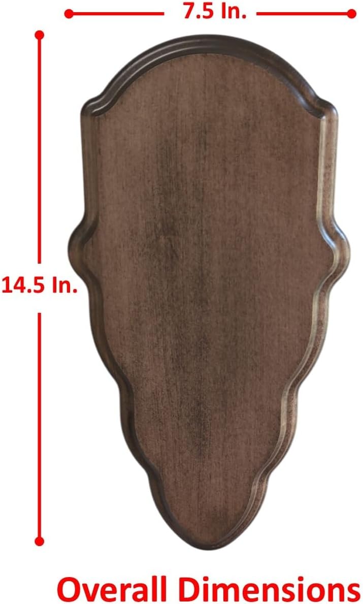 Cauff Deer Skull Mount Face Plate with Mounting Hardware, European Style, Whitetail (Walnut Finsh) - Image 3